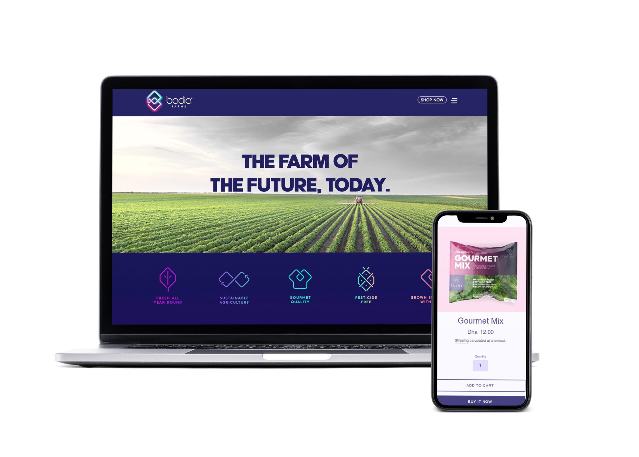 Badia Farm - Image 4