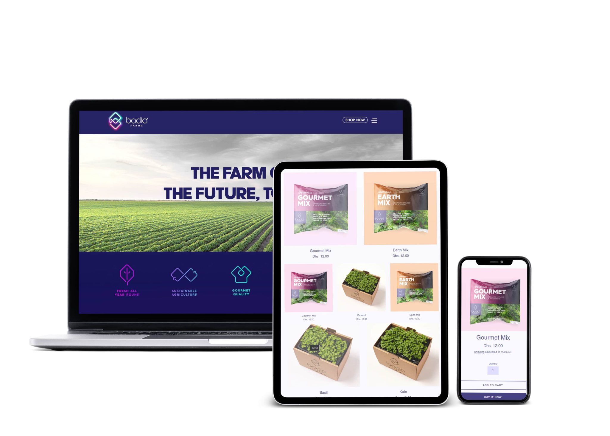 Badia Farm - Image 2