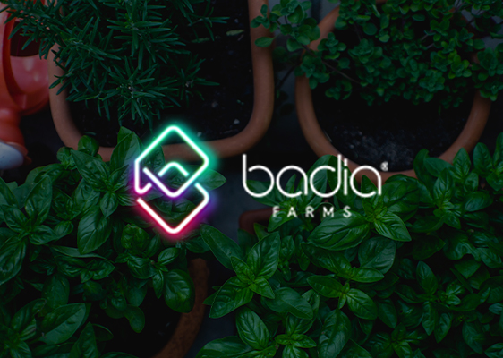 Badia Farm - Image 1